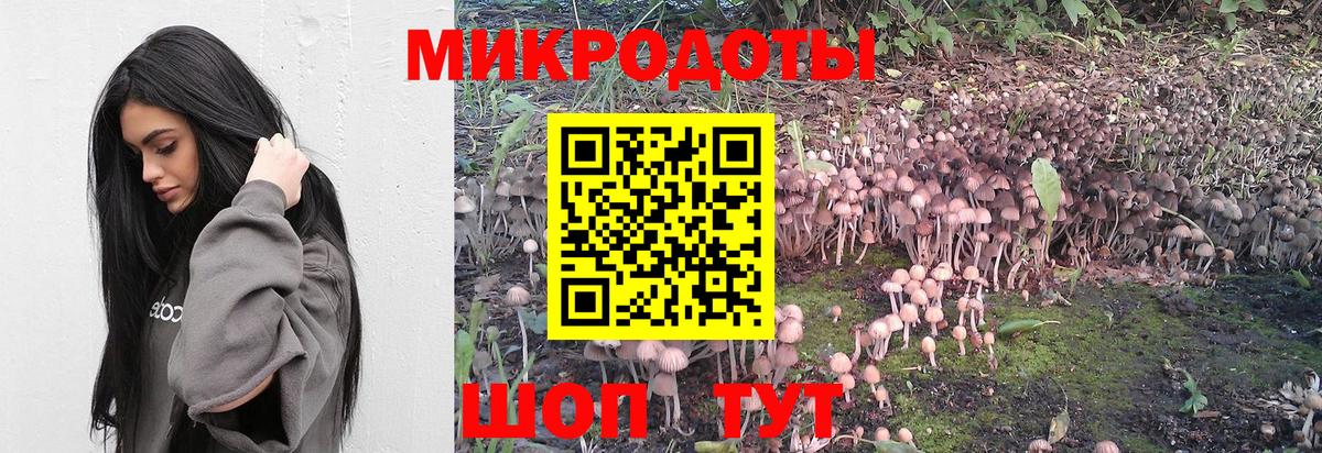Галлюциногенные грибы мицелий Дальнереченск