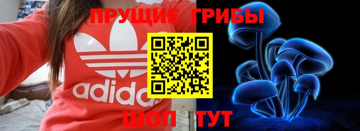 Дальнереченск  Галлюциногенные грибы Cubensis  Вход с VPN  Псилоцибиновые грибы GOLDEN TEACHER 